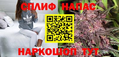 наркотики Гай
