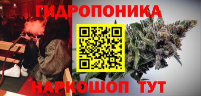 apvp Гагарин
