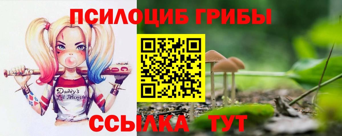 Галлюциногенные грибы GOLDEN TEACHER Нальчик