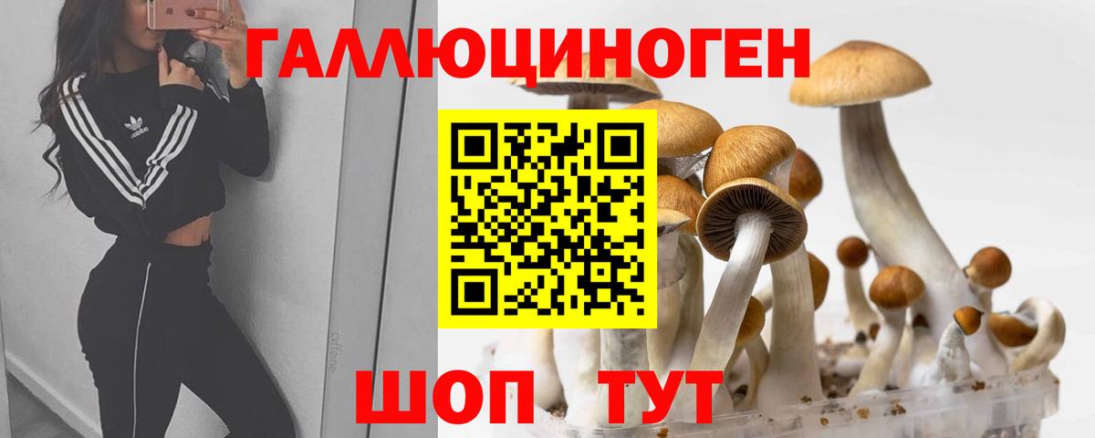 Нальчик  Галлюциногенные грибы мицелий  Вход с VPN  Галлюциногенные грибы Magic Shrooms 